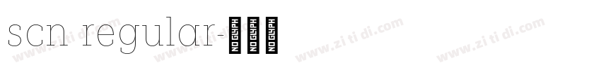 scn regular字体转换